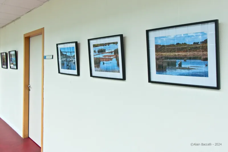 Exposition-OCT_24-0602_039