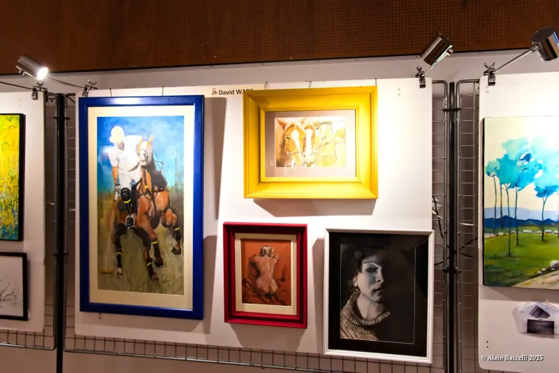 Expo Trég'art, David Wabe