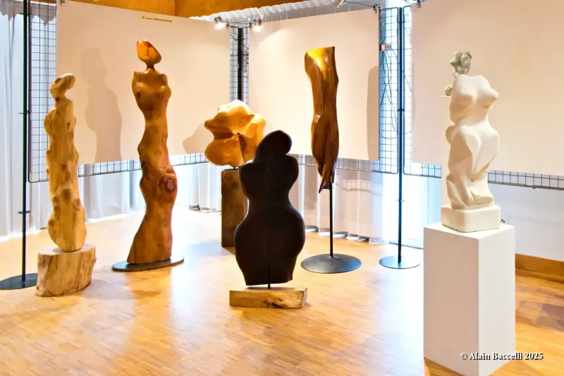 Expo Trég'art, Jocelyne Lardoux-Bouvier