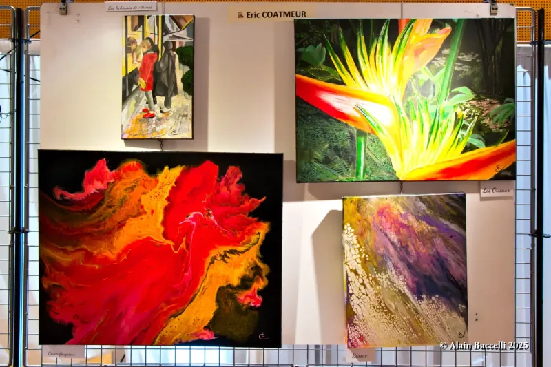 Expo Trég'art, Eric Coatmeur