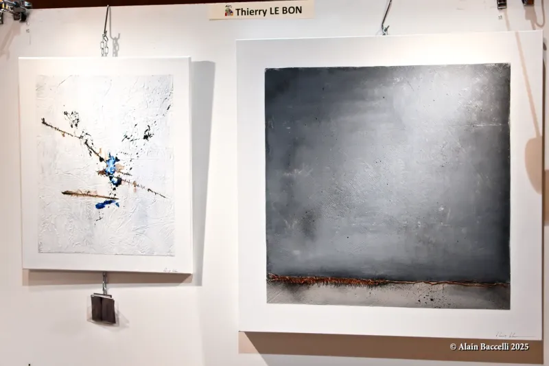 Expo Trég'art, Thierry Le Bon