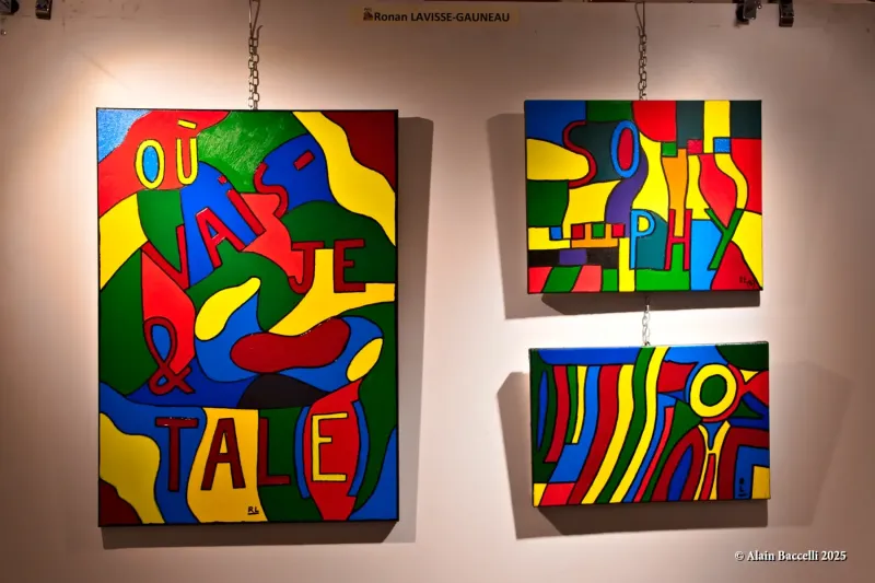 Expo Trég'art,  Ronan Lavisse-Gauneau