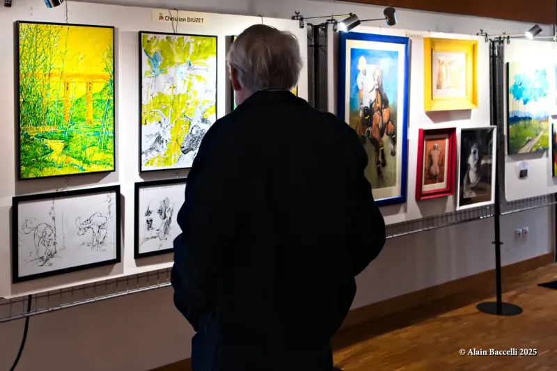 Expo Trég'art,contemplation