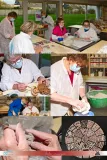 103_Arts_Plastiques_Adultes